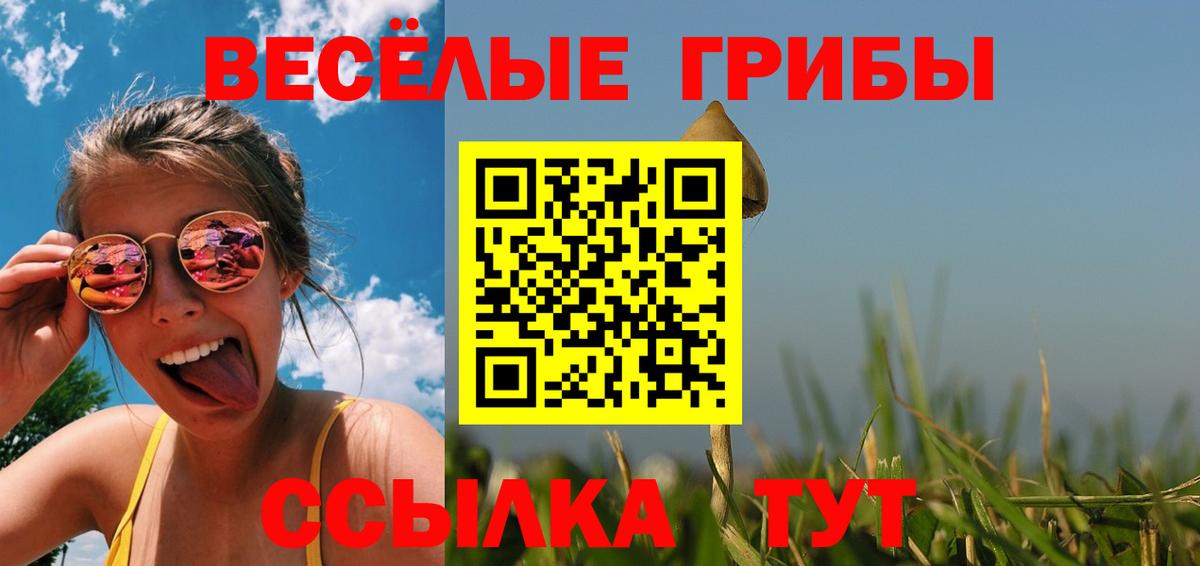 Липецк  Галлюциногенные грибы Psilocybine cubensis  Псилоцибиновые грибы Psilocybine cubensis  Вход с VPN 